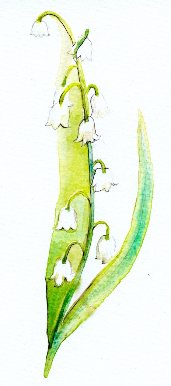 Wedding Flowers Cornwall 12